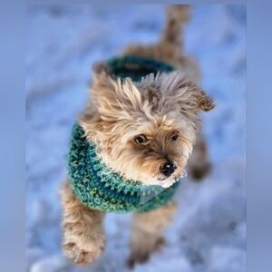 Insomniacs No Theme No Crap Share Show Saturday 12:30am